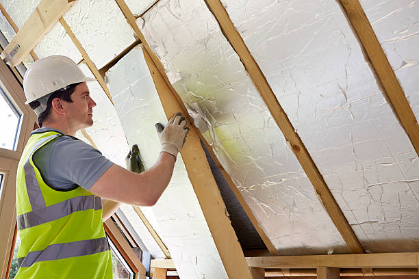 Best Residential Insulation in Chandler, AZ
